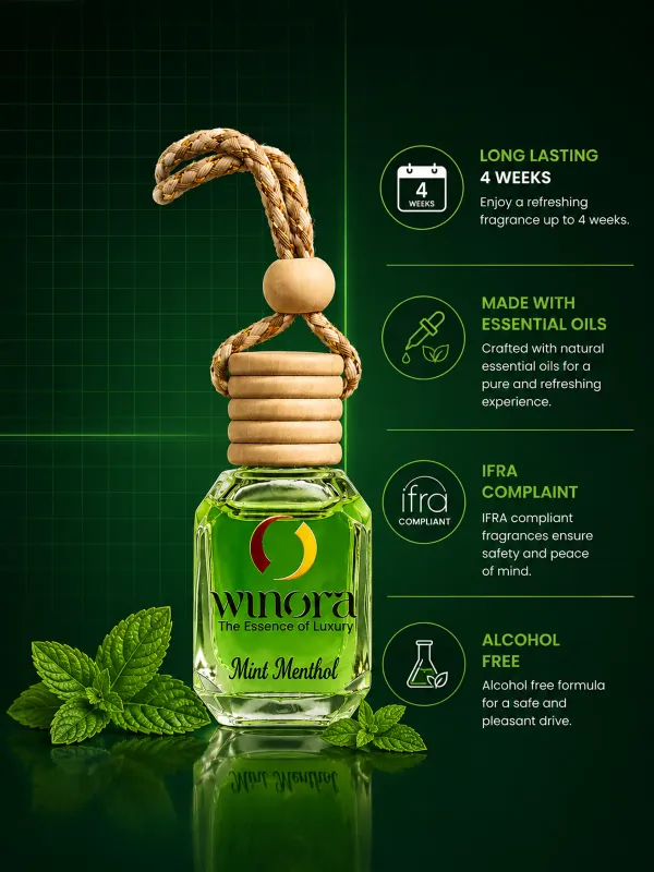 Lemon_and_Mint_Car_Hanging_Pod_(Pack_of_2)