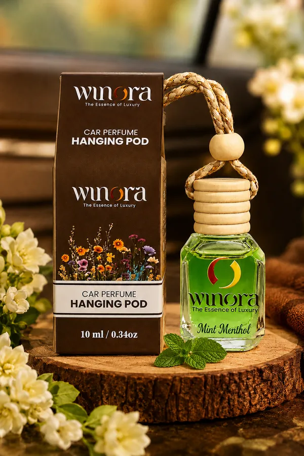 Mint_Car_Hanging_Pod