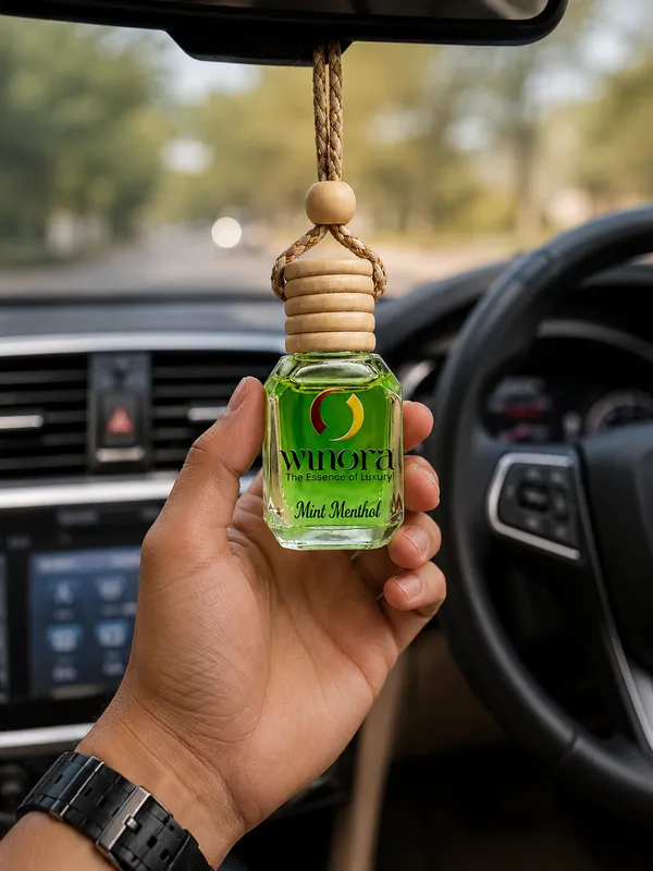Mint_Car_Hanging_Pod