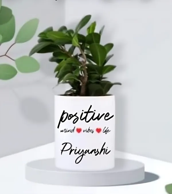 Mimitiinaa_White_Ceramic_Planter_With_Drainage_Hole_For_Indoor_Plants_Can_Be_Customised_With_Photos,_Logos,_Mesages