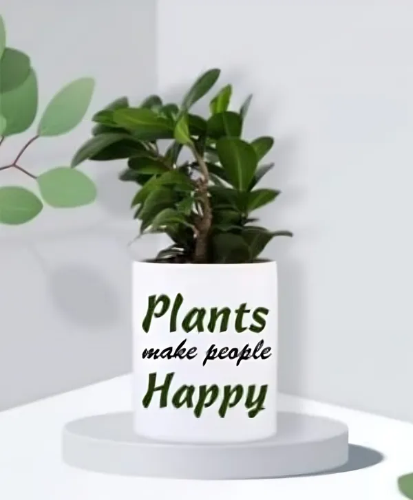 Mimitiinaa_White_Ceramic_Planter_With_Drainage_Hole_For_Indoor_Plants_Can_Be_Customised_With_Photos,_Logos,_Mesages