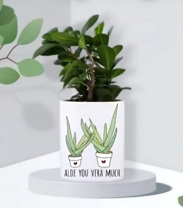 Mimitiinaa_White_Ceramic_Planter_With_Drainage_Hole_For_Indoor_Plants_Can_Be_Customised_With_Photos,_Logos,_Mesages