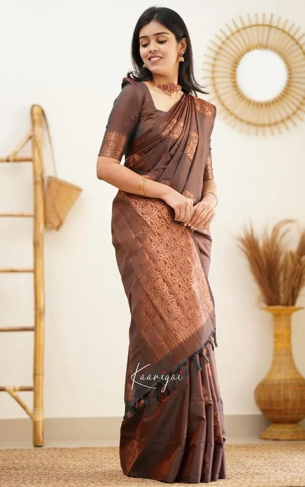 Elegant_Brown_Lichi_Silk_Saree_with_Rich_Jacquard_Pallu_&_Border