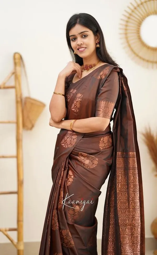 Elegant_Brown_Lichi_Silk_Saree_with_Rich_Jacquard_Pallu_&_Border