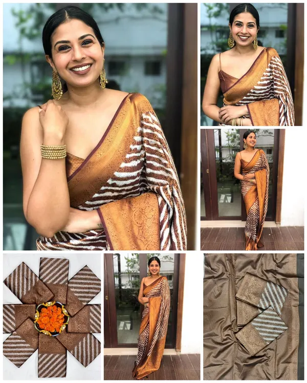 Elegant_Brown_Woven_Saree_with_Floral_Jacquard_Border_&_Striped_Designer_Pallu