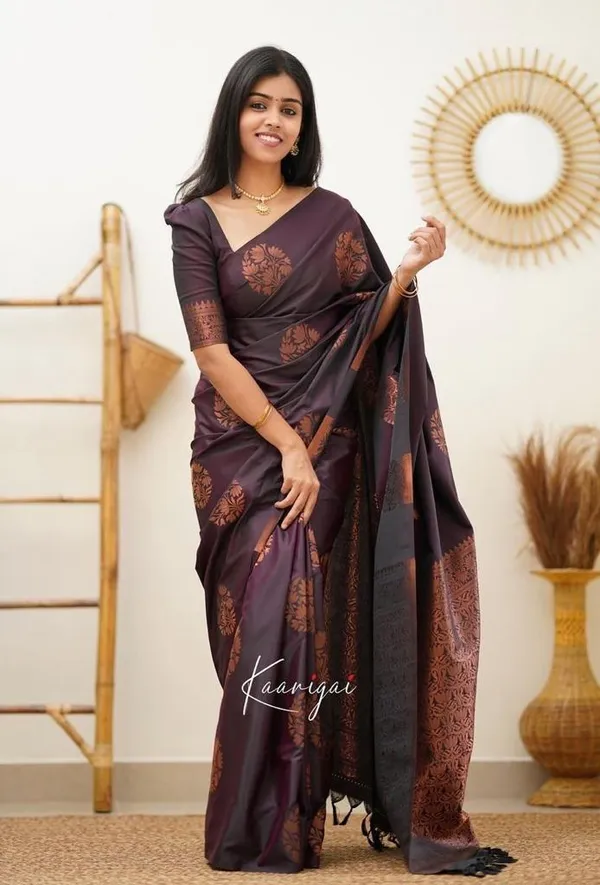 Elegant_Wine_Lichi_Silk_Saree_with_Rich_Jacquard_Pallu_&_Border