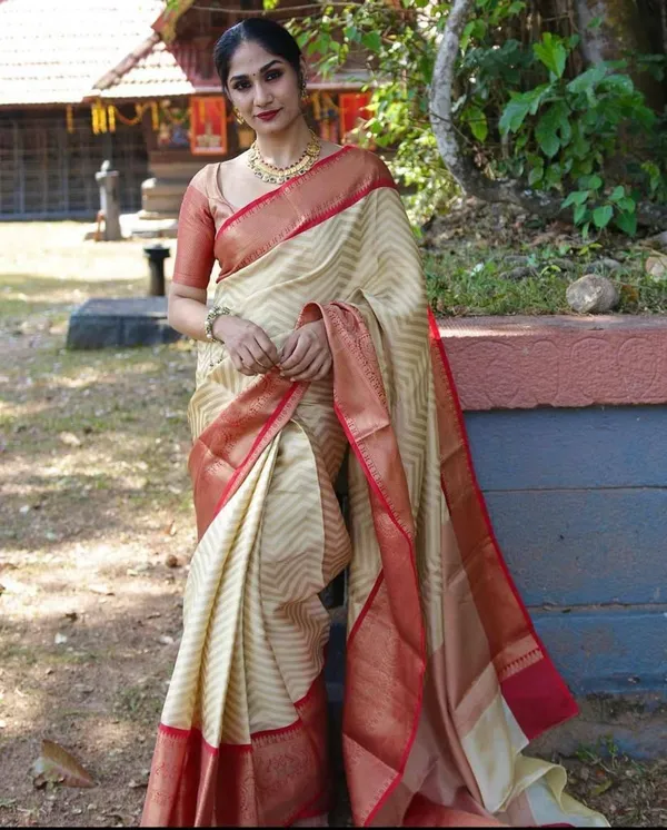 Premium_Soft_Lichi_Silk_Saree_with_Rich_Jacquard_Pallu_&_Designer_Border