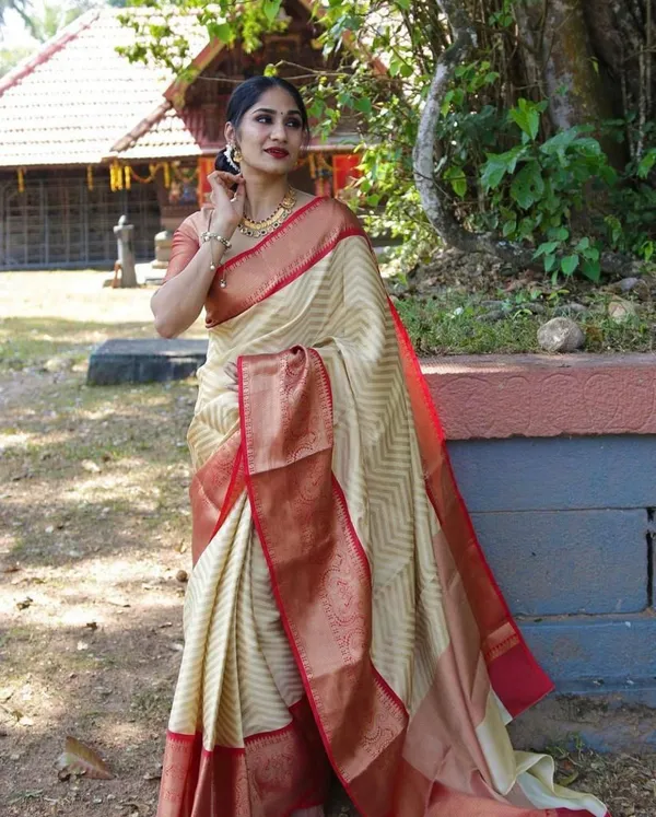 Premium_Soft_Lichi_Silk_Saree_with_Rich_Jacquard_Pallu_&_Designer_Border
