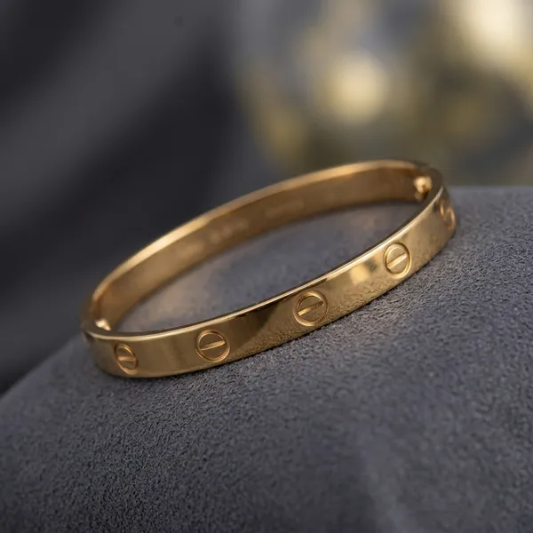 Gold_Plated_And_Steel_Bracelet_For_Women