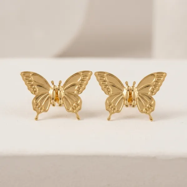 Gold_Plated_And_Steel_Stud_Earrings_For_Women