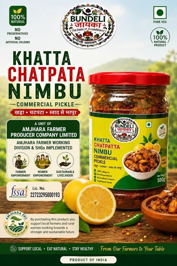 Bundeli_Jayka_Khatta_Chatpata_Lemon_Pickle_500_G