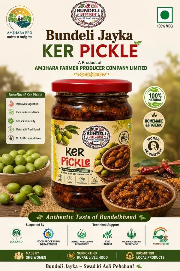 Bundeli_Jayka_Ker_Pickle_250_G