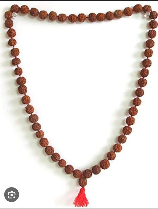 Rudrakashi_108_And_1_Bead_Original_Rudraksha_Mala_With_Original_Tulsi_Mala_Wood,_Rudraksha_Mala