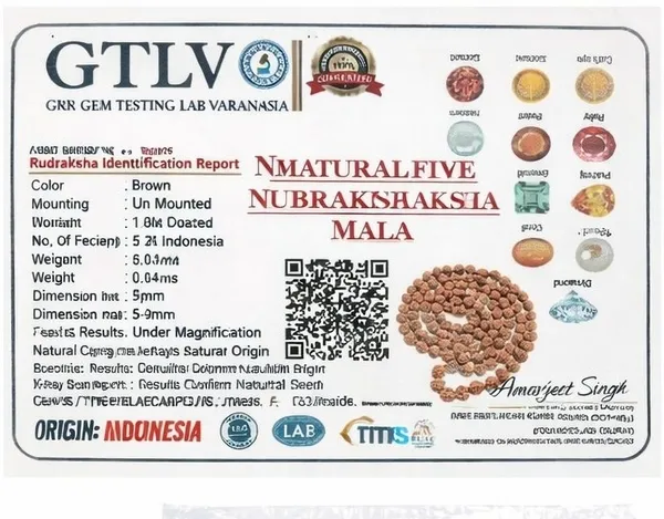 Rudra_Kashi_Original_5_Mukhi_Rudraksha_Mala
