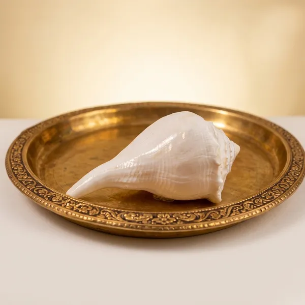 White_Natural_Conch_Shell_Lakshmi_Shankh_For_Puja