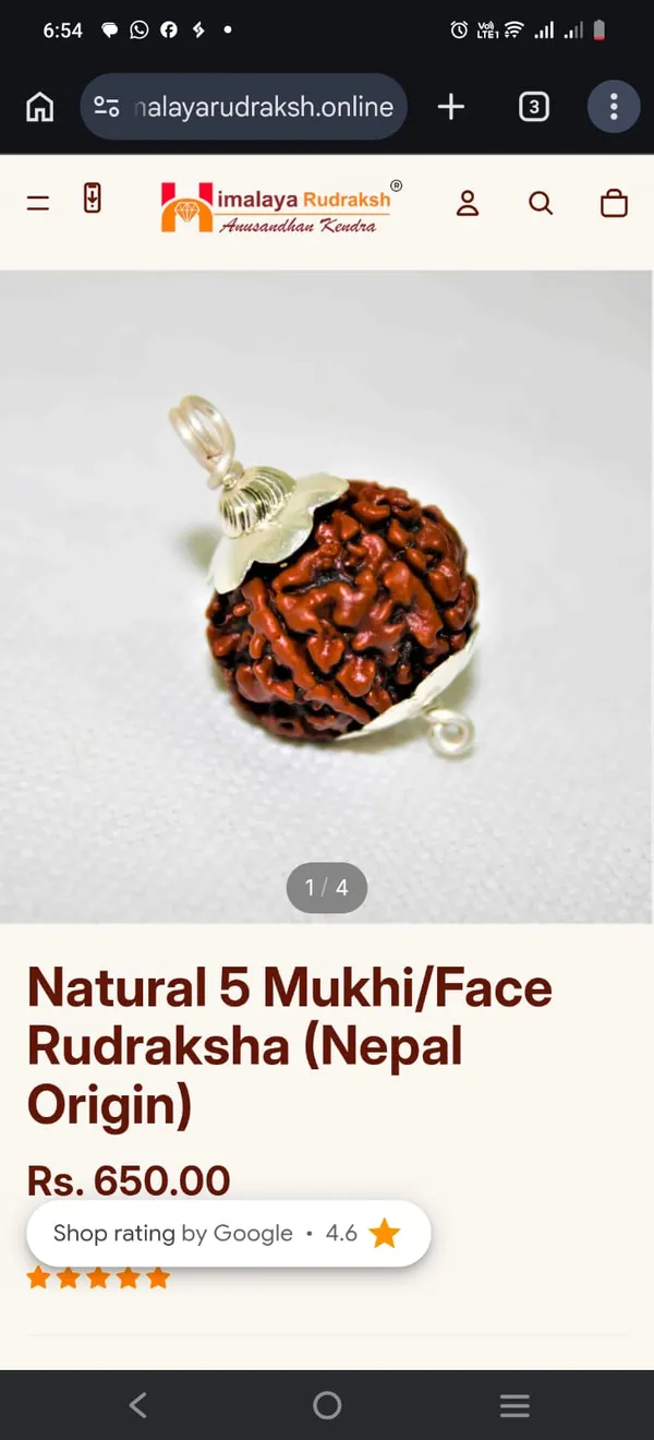 Lab_Certified_7_Mukhi_Rudraksha_With_Silver_Pendant