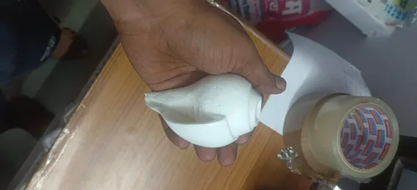 Pooja_Shankh_Natural_Conch_Shell