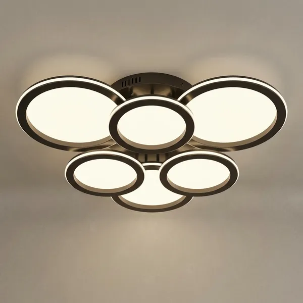 Acrylic_Metal_Black_Ring_LED_Flush_Mount_Ceiling_Light