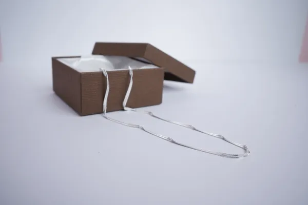 925_Sterling_Silver_Spiral_Classic_Chain_For_Women