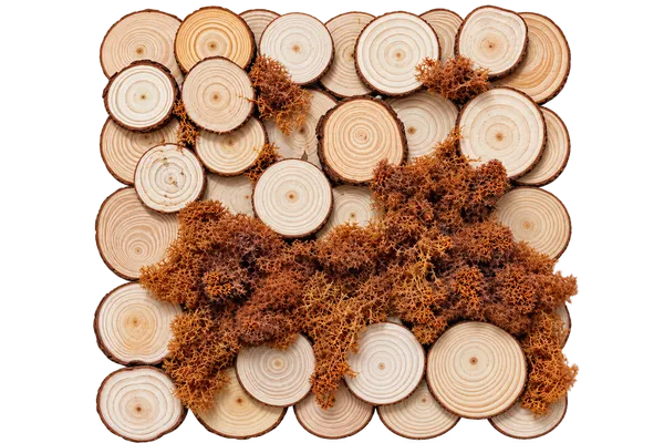 Rustic_Wooden_Log_&_Moss_Wall_Art