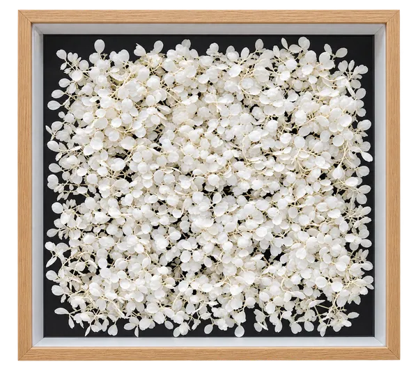 White_Dried_Floral_Shadow_Box_Wall_Decor_with_Wooden_Frame