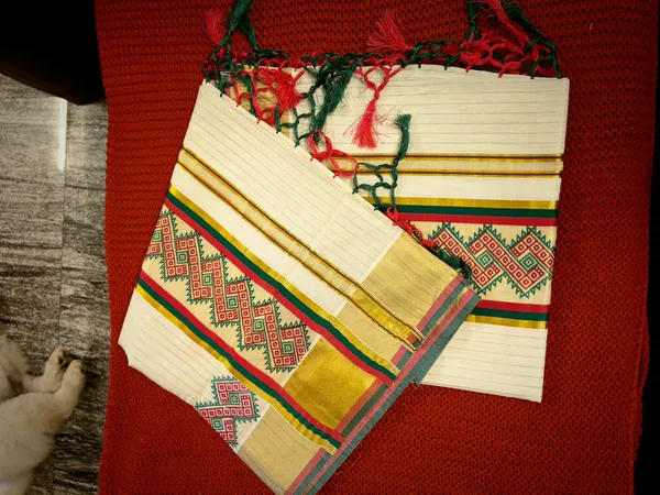 Cotton_Saree_With_Geometric_Embroidery_-Off_White_
