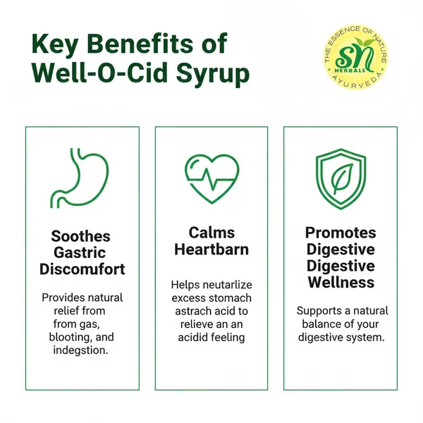 Well_O_Cid_Ayurvedic_Syrup