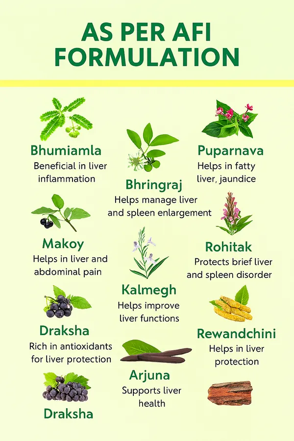 Hepto_Care_Liver_Support_Ayurvedic_Syrup