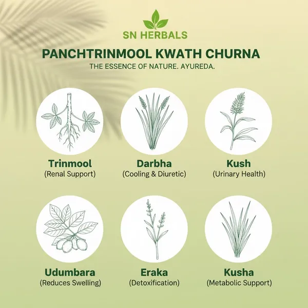 Panchtrinmool_Kwath_Churna
