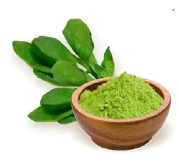 Dehydrated_Spinach_Powder