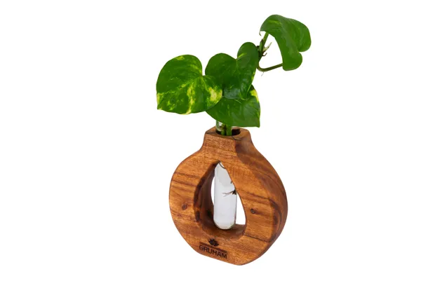 Wooden_Circular_Plant_Holder_With_Glass_Vase_Insert
