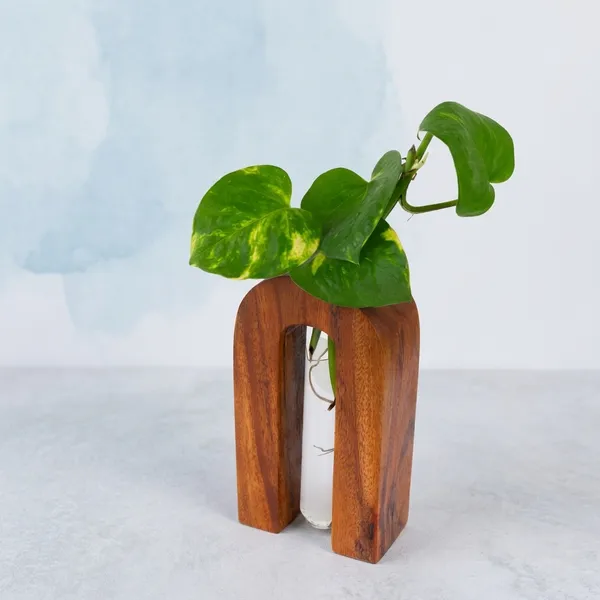 Wooden_Arch_Vase_Holder_With_Clear_Glass_Tube_For_Plants