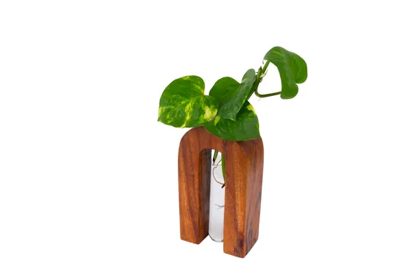 Wooden_Arch_Vase_Holder_With_Clear_Glass_Tube_For_Plants