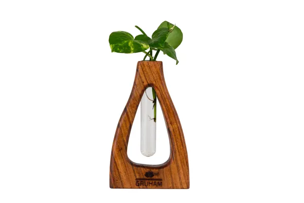 Shape_D_Wooden_Planter_With_Glass_Tube_For_Home_Decor