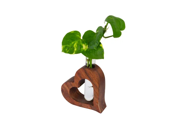 Wooden_Heart_Shaped_Glass_Tube_Vase_For_Home_Decor