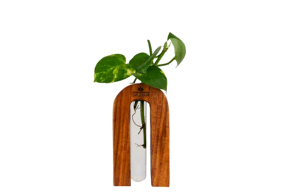 Wooden_Arch_Vase_Holder_With_Clear_Glass_Tube_For_Plants