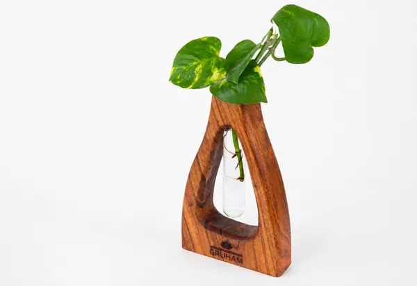 Shape_D_Wooden_Planter_With_Glass_Tube_For_Home_Decor