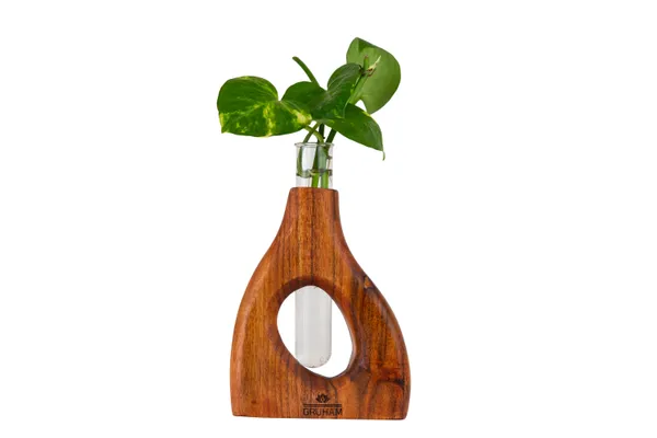 Wooden_Decorative_Vase_With_Glass_Tube_For_Green_Plants