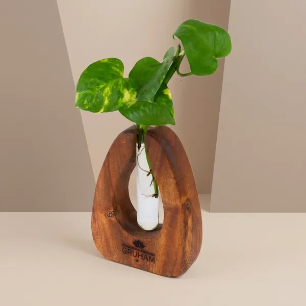 Wooden_Decorative_Vase_With_Glass_Test_Tube_Insert_For_Plants