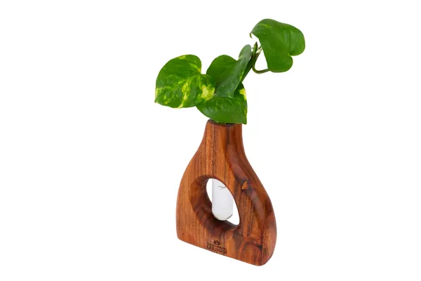 Wooden_Decorative_Vase_With_Glass_Tube_For_Green_Plants