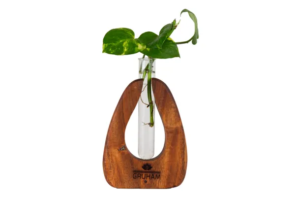 Wooden_Decorative_Vase_With_Glass_Test_Tube_Insert_For_Plants
