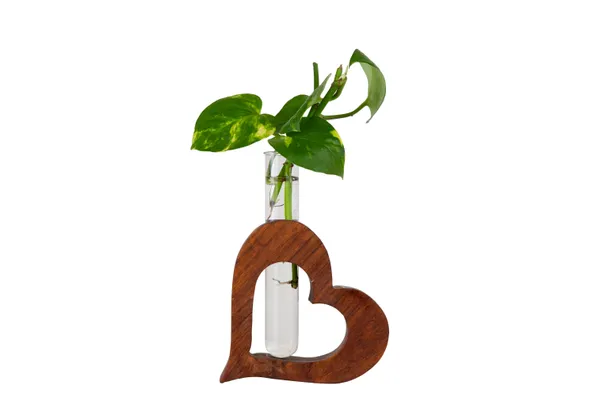 Wooden_Heart_Shaped_Glass_Tube_Vase_For_Home_Decor