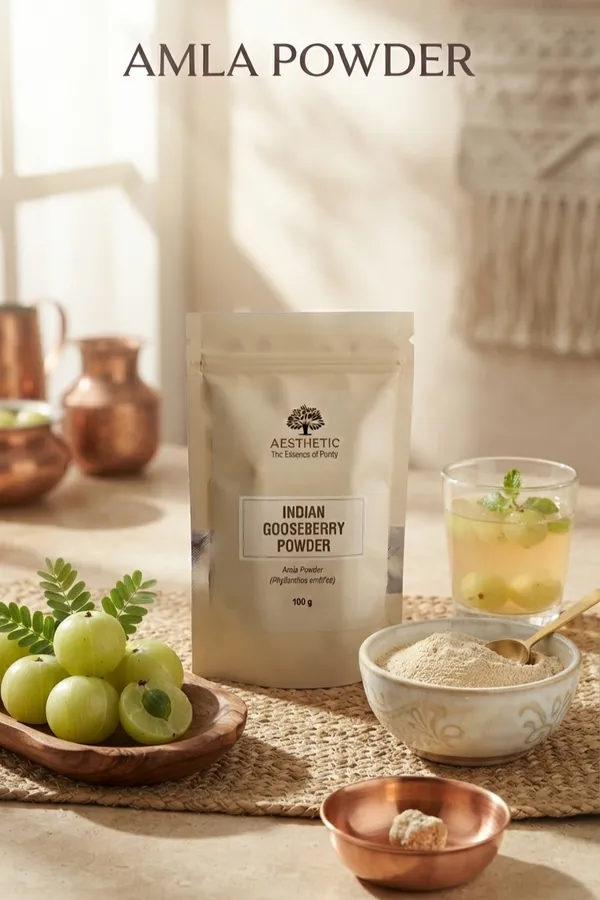 Aesthetic_Amla_(Indian_Gooseberry)_Powder_–_100_g_(Pack_of_2)