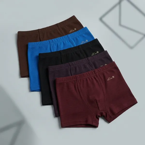 Multicolor_Cotton_Drawer_Innerwear_For_Boys_Pack_Of_5