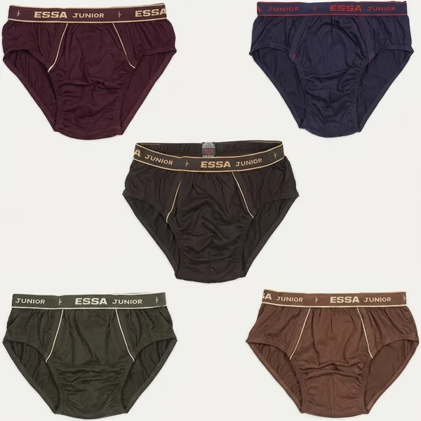 Multicolour_Cotton_Brief_Innerwear_For_Boys_(Pack_Of_5)