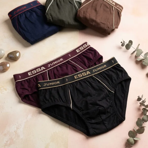 Multicolour_Cotton_Brief_Innerwear_For_Boys_(Pack_Of_5)