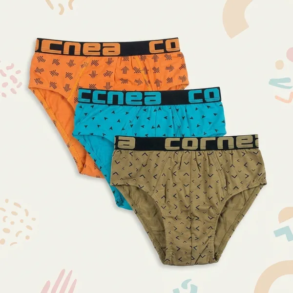 Multicolour_Cotton_Printed_Brief_Innerwear_For_Boys_(Pack_Of_5)