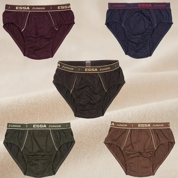 Multicolour_Cotton_Brief_Innerwear_For_Boys_(Pack_Of_5)