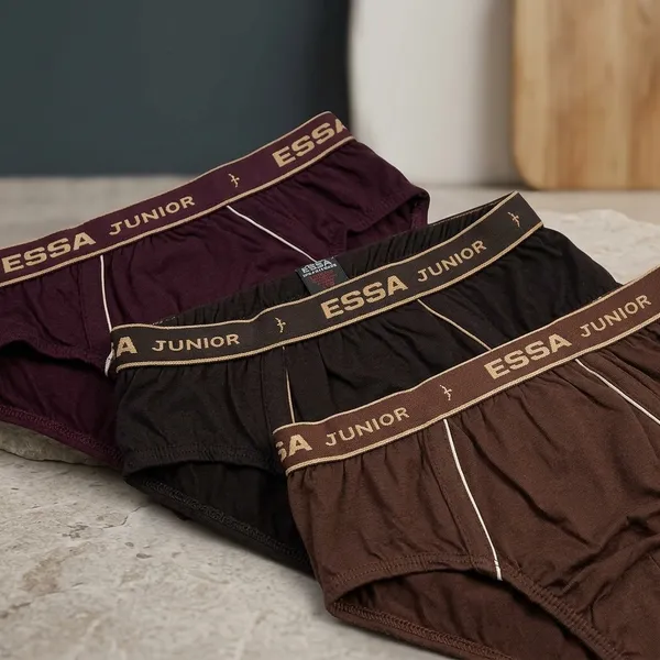Multicolour_Cotton_Brief_Innerwear_For_Boys_(Pack_Of_5)