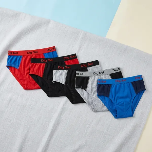 Multicolour_Cotton_Brief_Innerwear_For_Boys_(Pack_Of_5)
